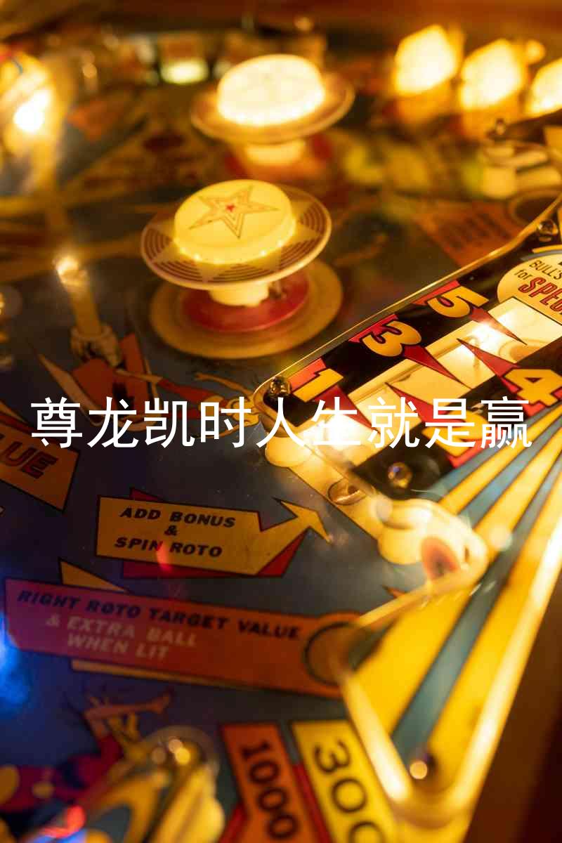 尊龙凯时人生就是赢