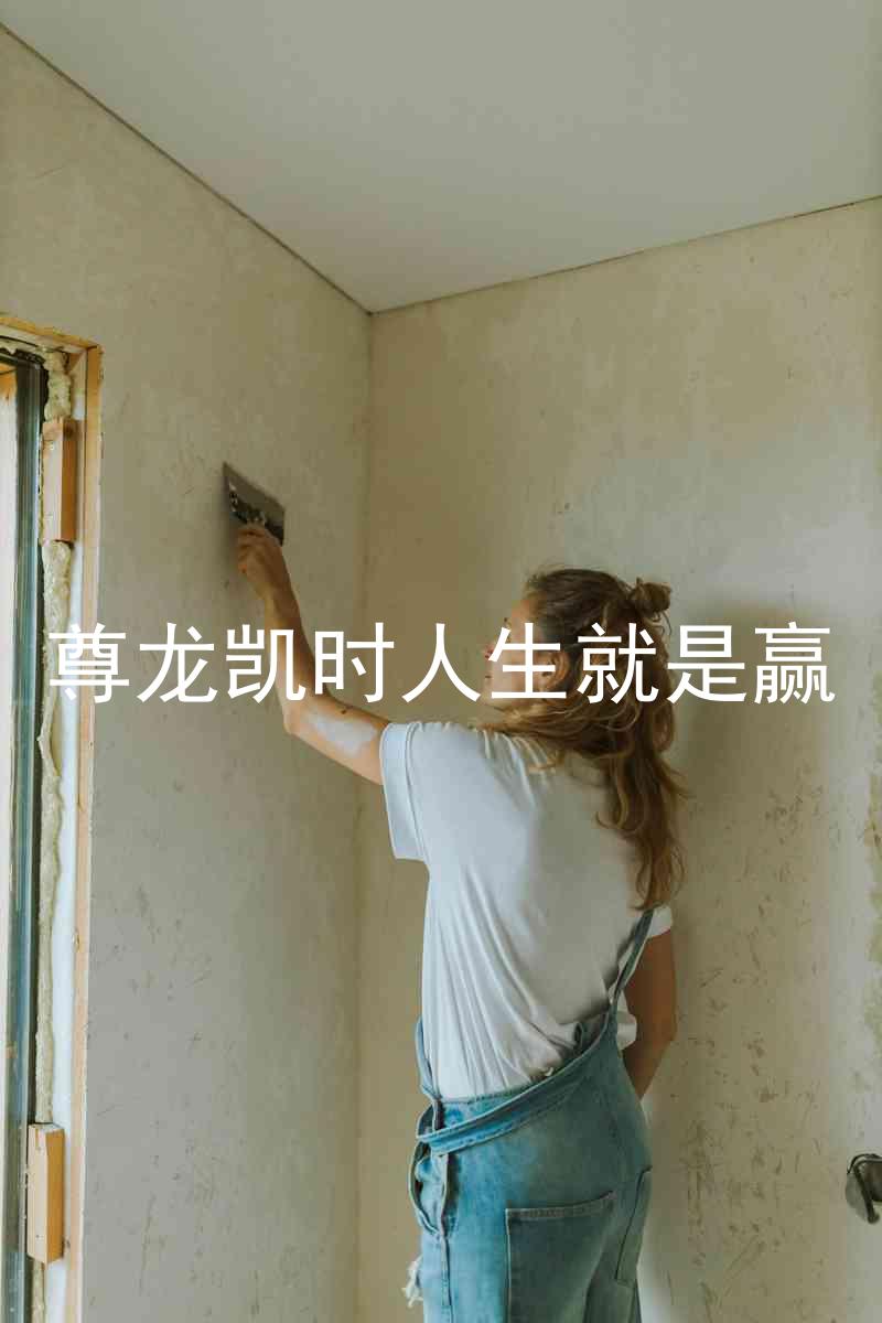 尊龙凯时人生就是赢